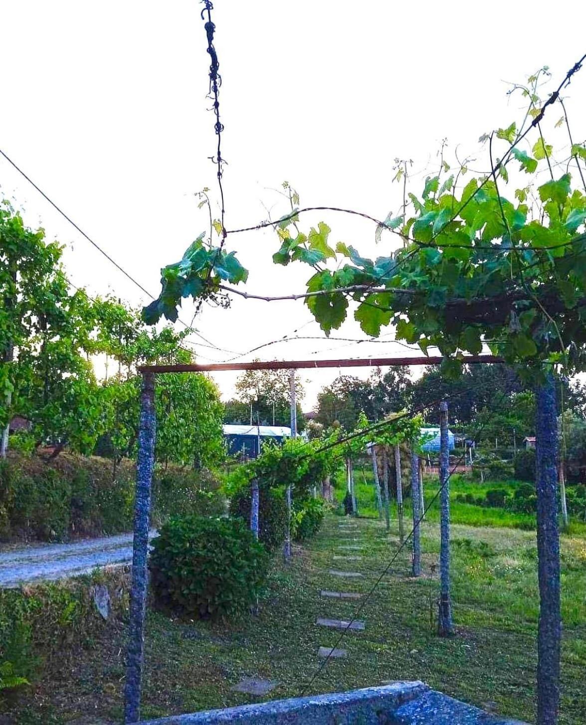 Casa De Cerqueda Apartment เซลอริโก จิ บาสโต ภายนอก รูปภาพ