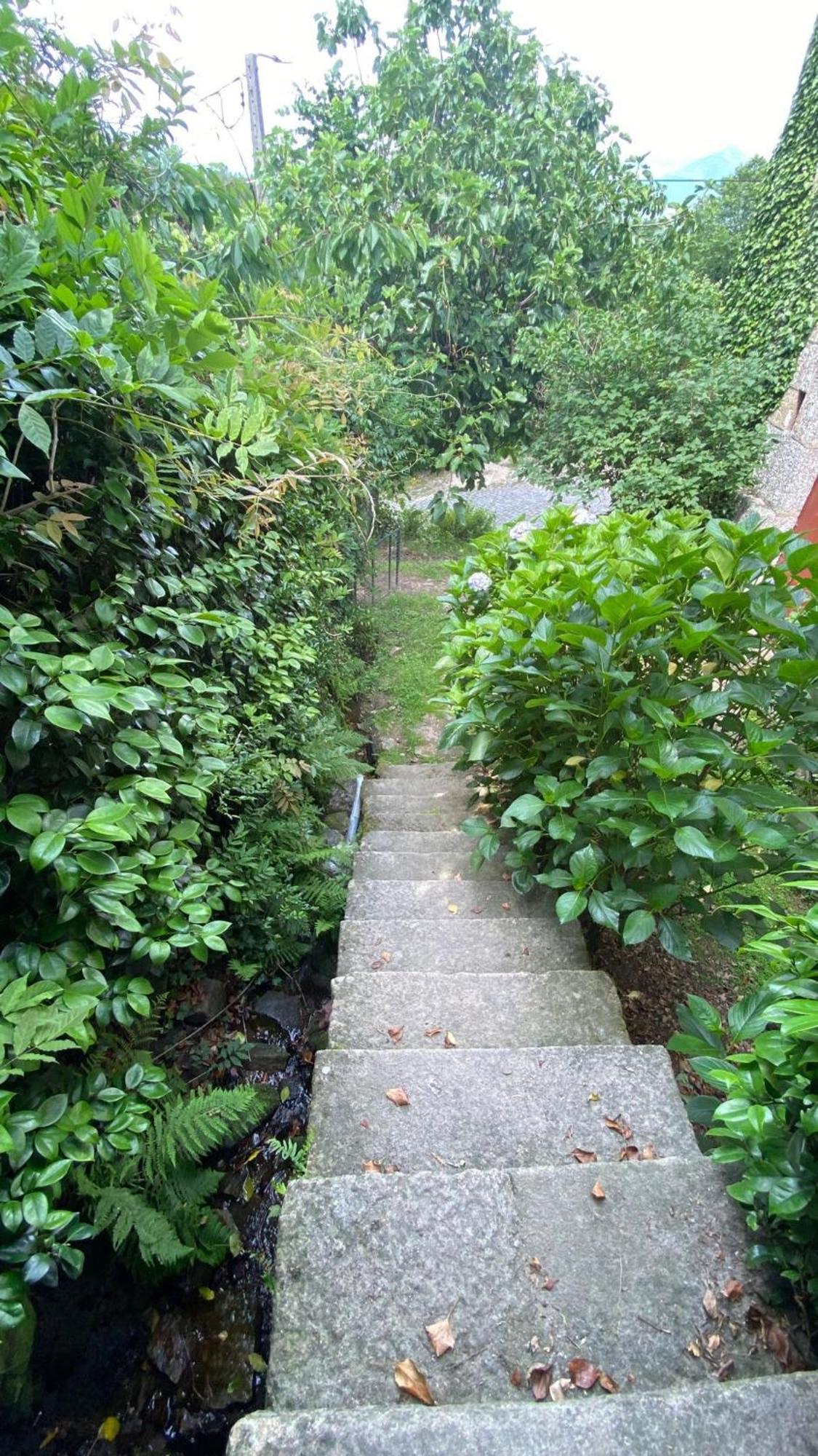Casa De Cerqueda Apartment เซลอริโก จิ บาสโต ภายนอก รูปภาพ